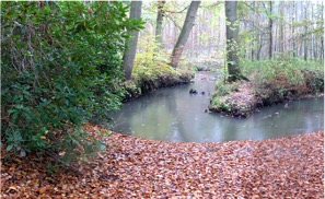 Rovertsche Leij 