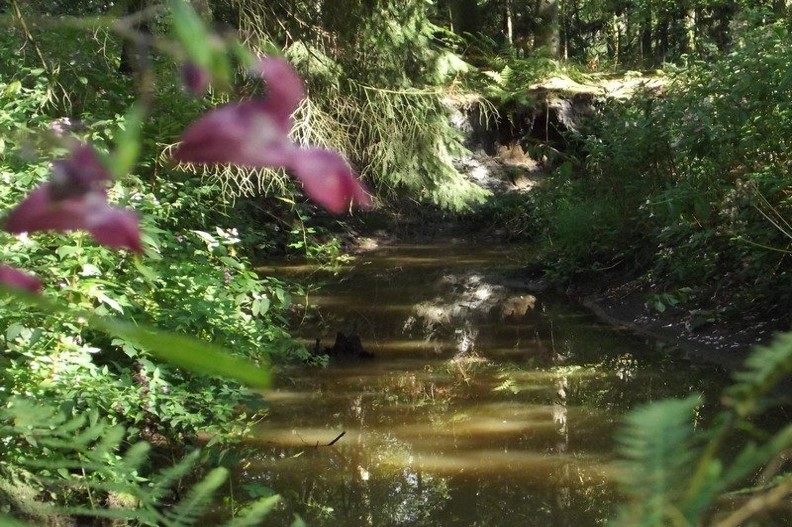 Landgoed Gorp en Roovert