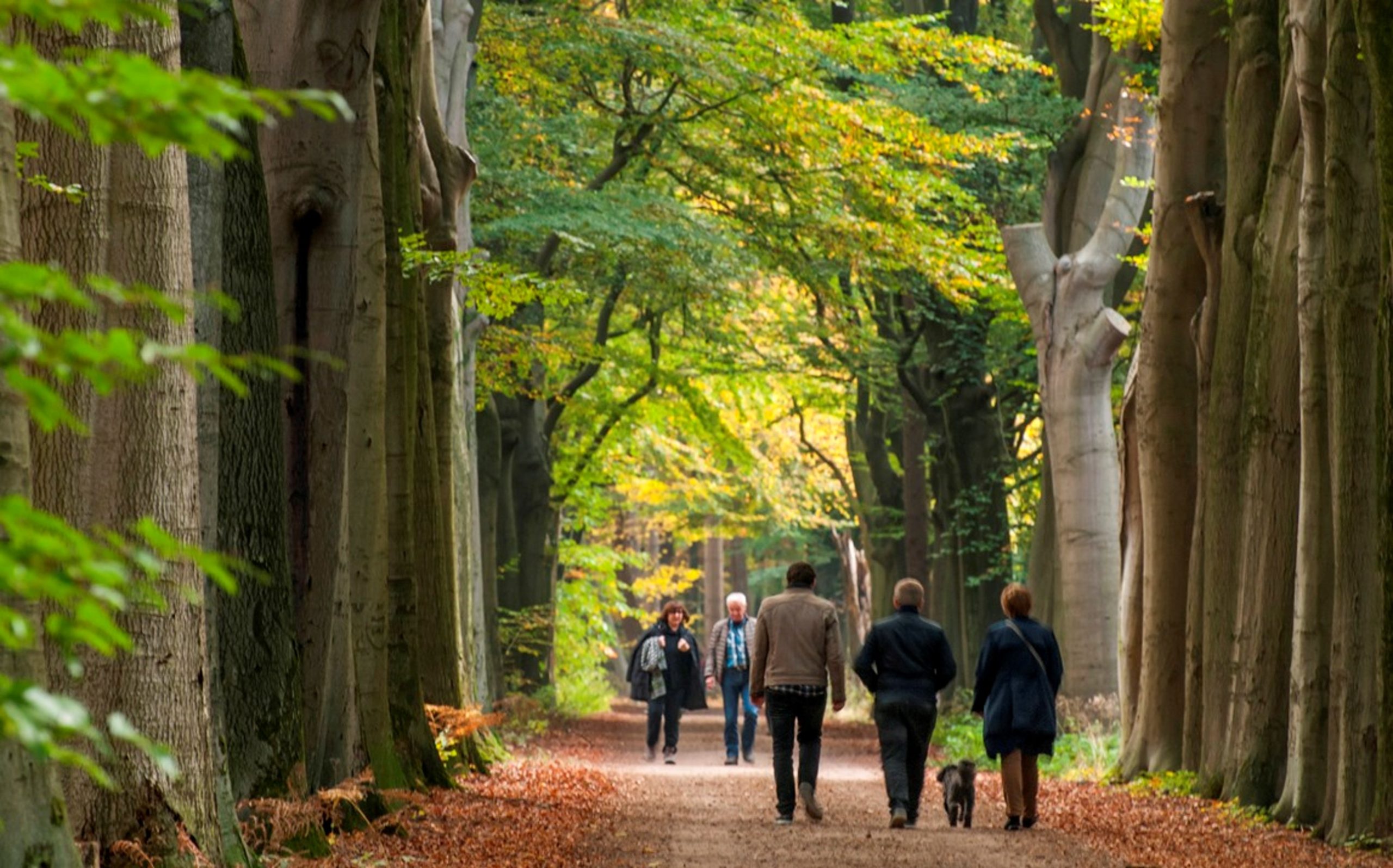 Landgoed Gorp de Leij